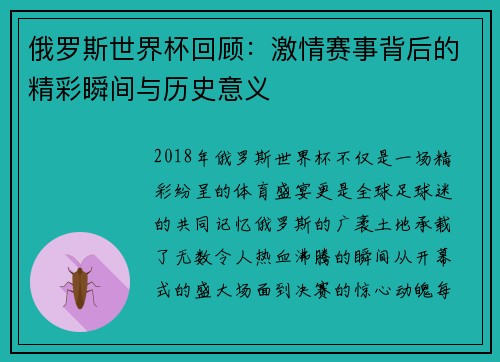 俄罗斯世界杯回顾：激情赛事背后的精彩瞬间与历史意义